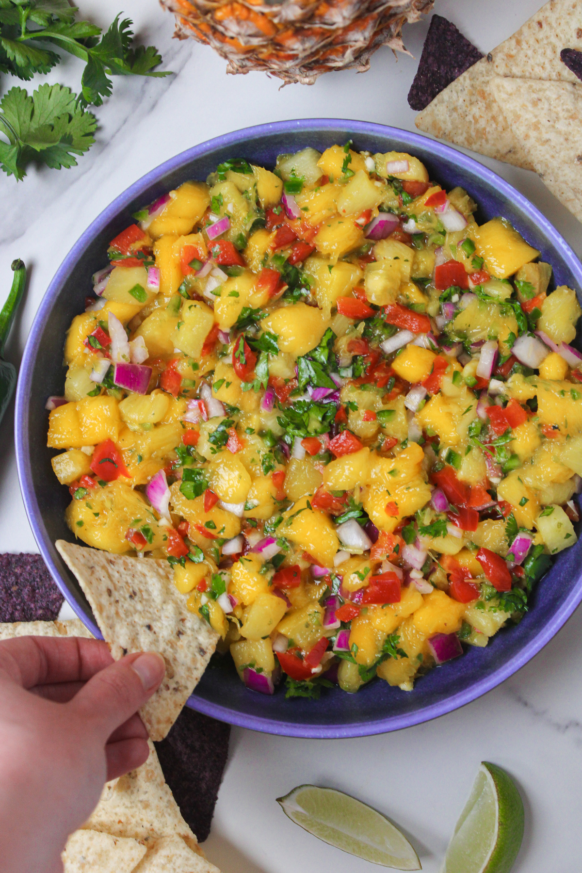 Overhead view of fresh mango pineapple salsa, with a hand dipping a tortilla chip into it.